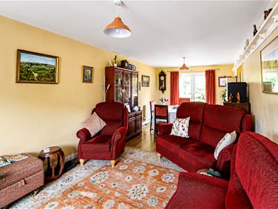 Picture 21